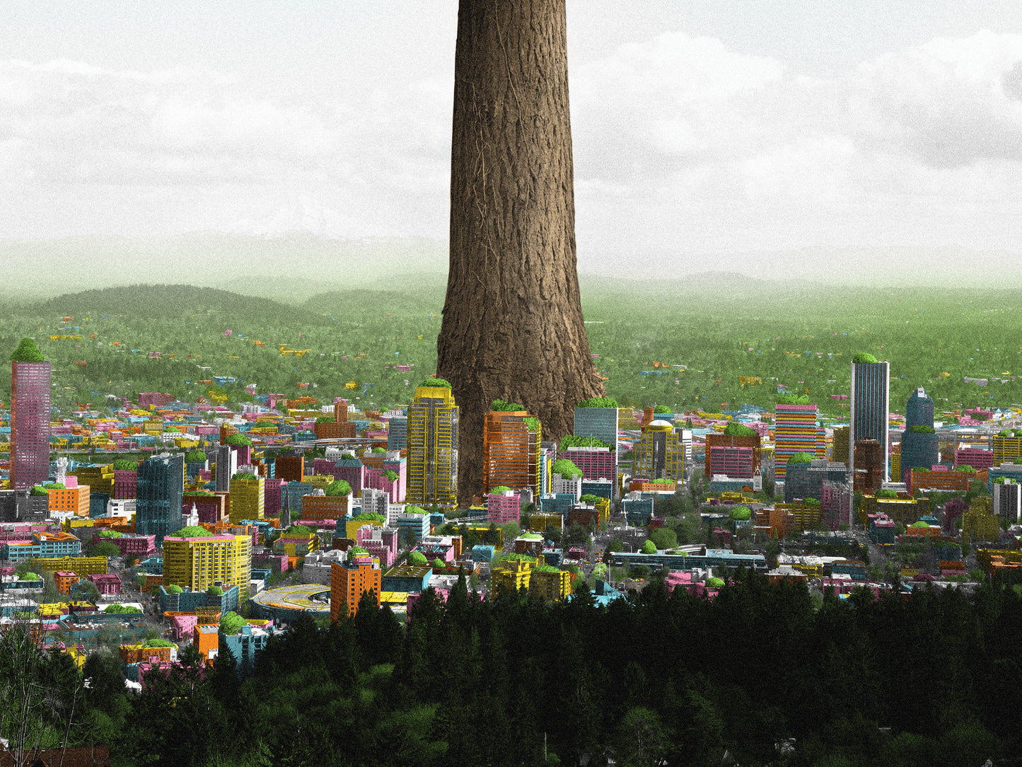 Big Ole Tree with Birch Moriki Frame