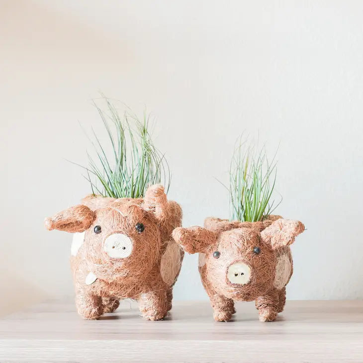 Baby Animal Planter