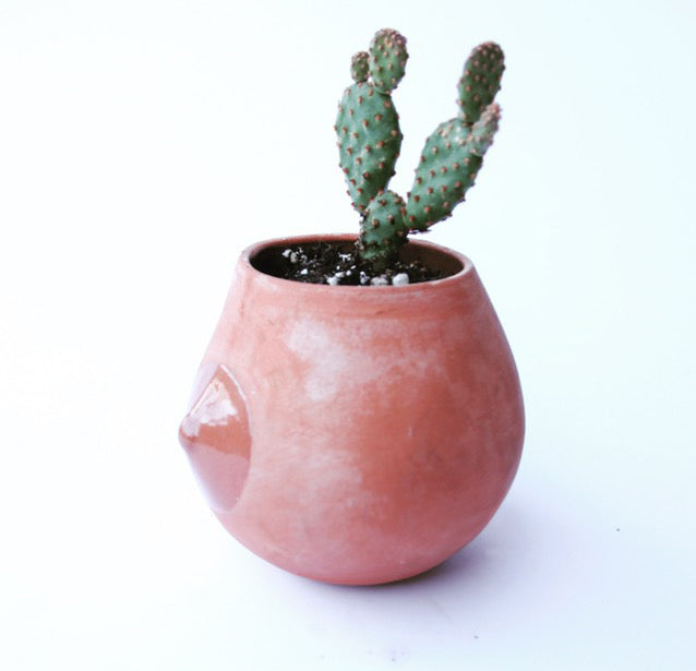 Terra-Cotta Nip Planter