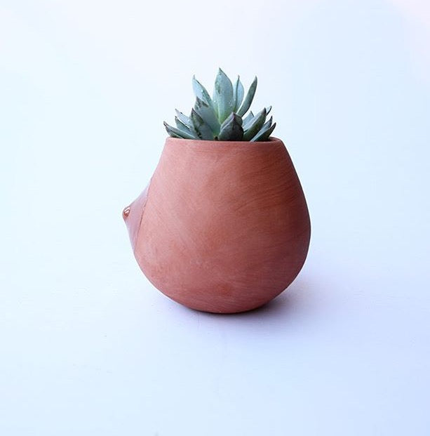 Terra-Cotta Nip Planter