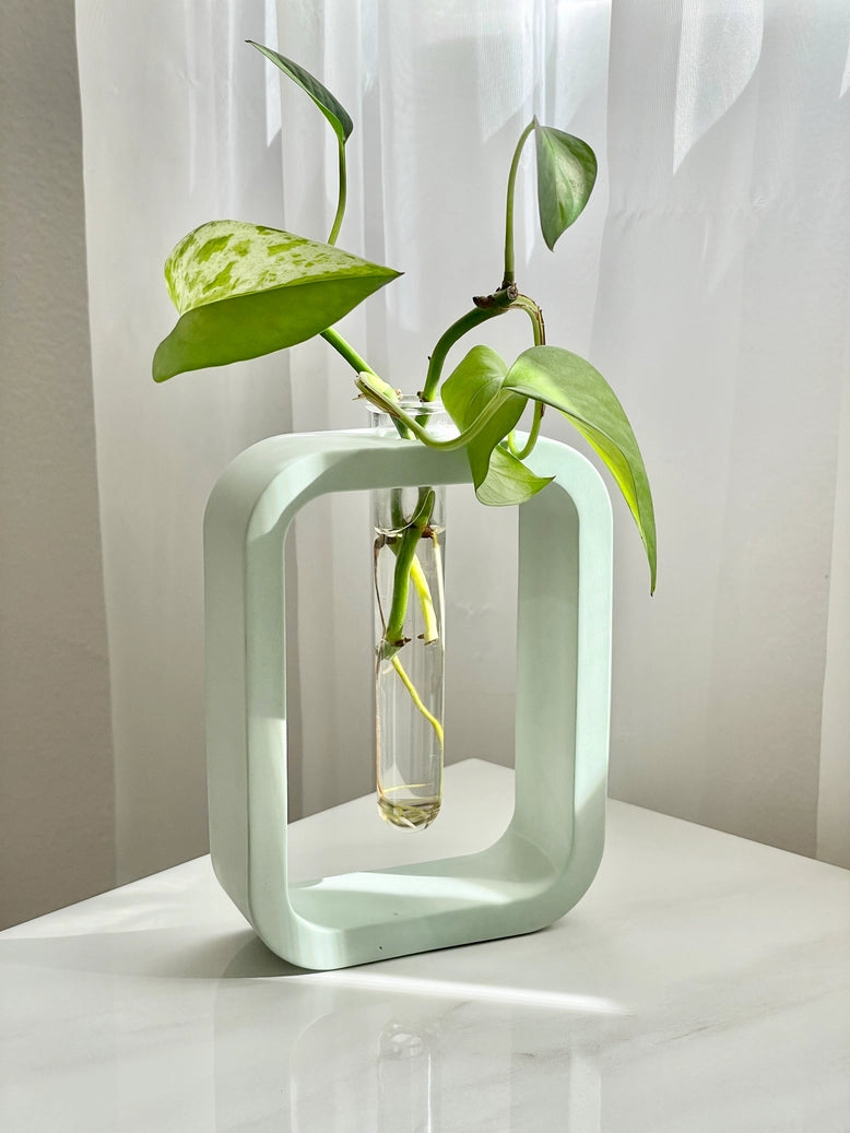 Cement Plant Propagation Vase