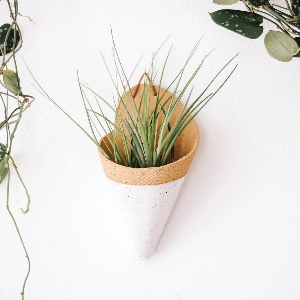 Ceramic Cone Wall Planter